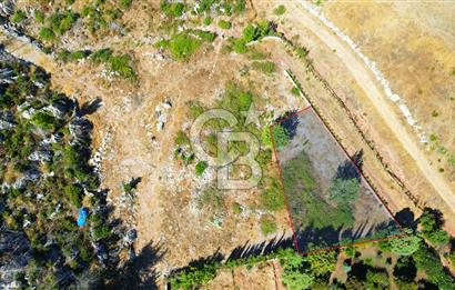 Muğla Marmaris Turunç Dereözü Mevkinde Satılık 882,53 m² Arsa