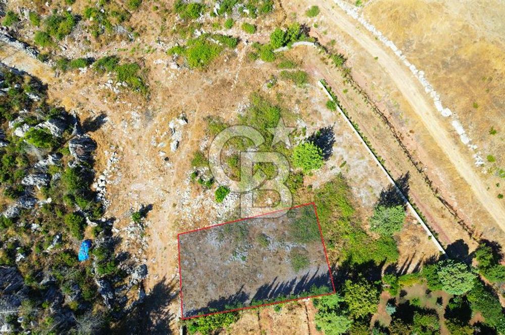 Muğla Marmaris Turunç Dereözü Mevkinde Satılık 489,19 m² Arsa