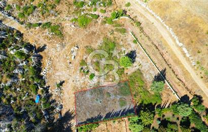 Muğla Marmaris Turunç Dereözü Mevkinde Satılık 489,19 m² Arsa