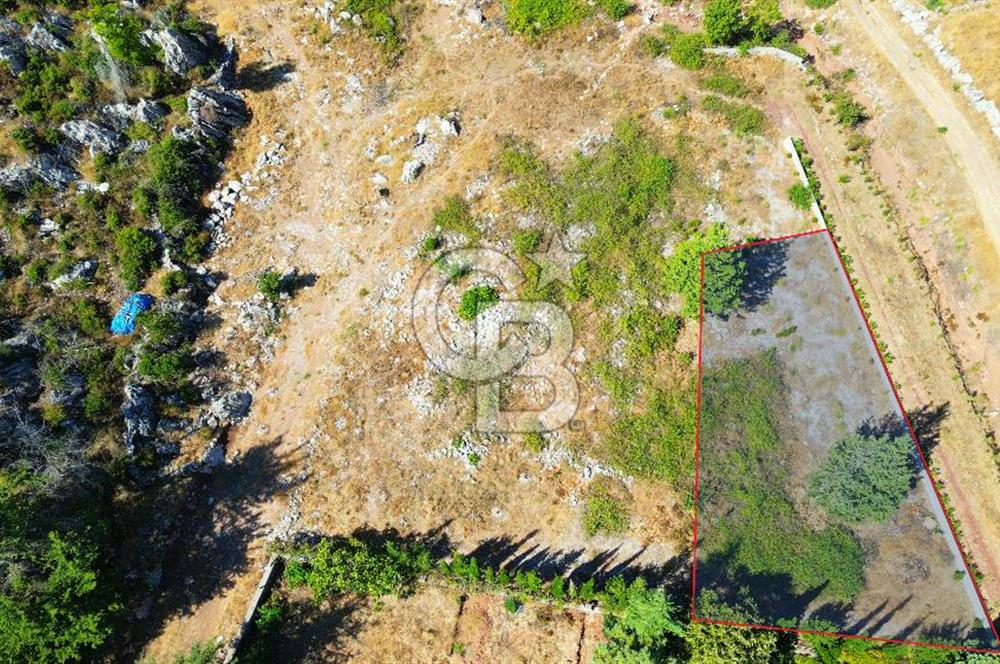 Muğla Marmaris Turunç Dereözü Mevkinde Satılık 882,53 m² Arsa