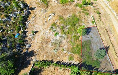 Muğla Marmaris Turunç Dereözü Mevkinde Satılık 882,53 m² Arsa