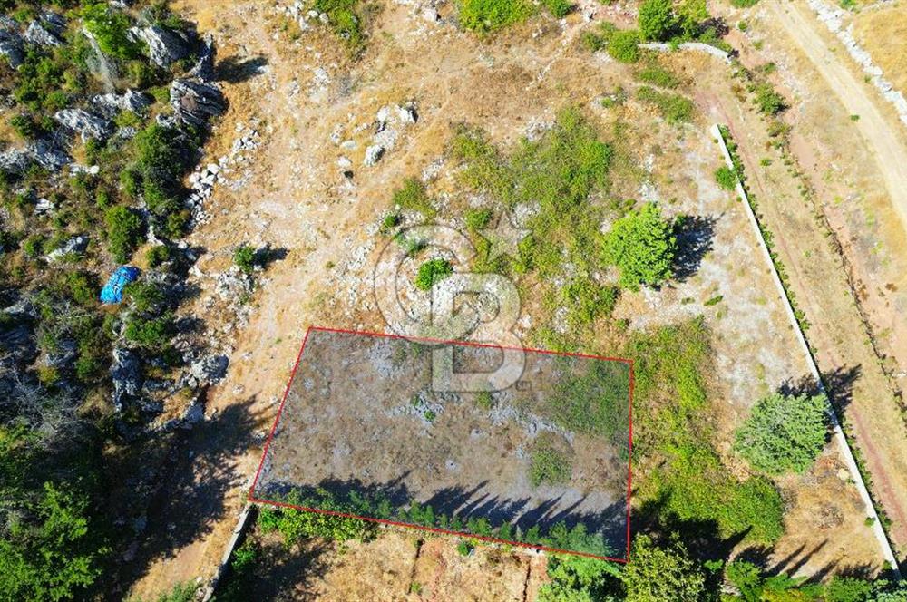 Muğla Marmaris Turunç Dereözü Mevkinde Satılık 489,19 m² Arsa