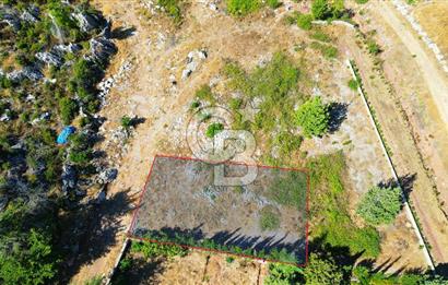 Muğla Marmaris Turunç Dereözü Mevkinde Satılık 489,19 m² Arsa