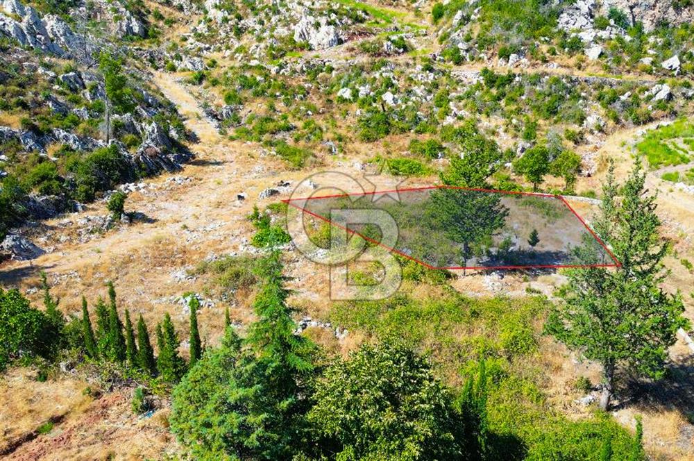 Muğla Marmaris Turunç Dereözü Mevkinde Satılık Arsa