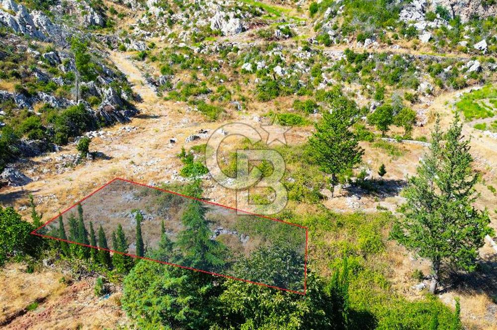 Muğla Marmaris Turunç Dereözü Mevkinde Satılık 489,19 m² Arsa