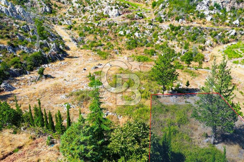 Muğla Marmaris Turunç Dereözü Mevkinde Satılık 882,53 m² Arsa