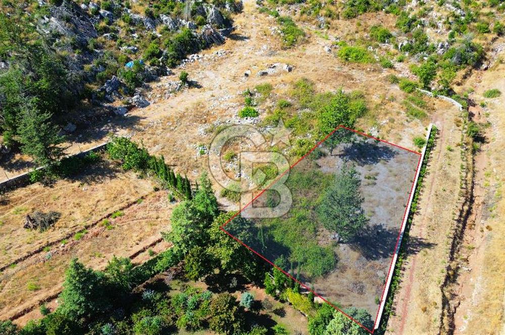 Muğla Marmaris Turunç Dereözü Mevkinde Satılık 882,53 m² Arsa