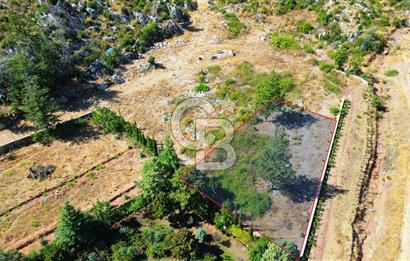 Muğla Marmaris Turunç Dereözü Mevkinde Satılık 882,53 m² Arsa