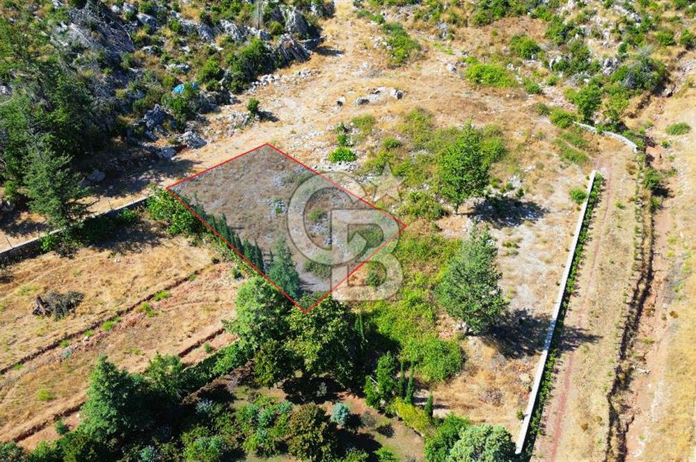 Muğla Marmaris Turunç Dereözü Mevkinde Satılık 489,19 m² Arsa