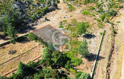 Muğla Marmaris Turunç Dereözü Mevkinde Satılık 489,19 m² Arsa