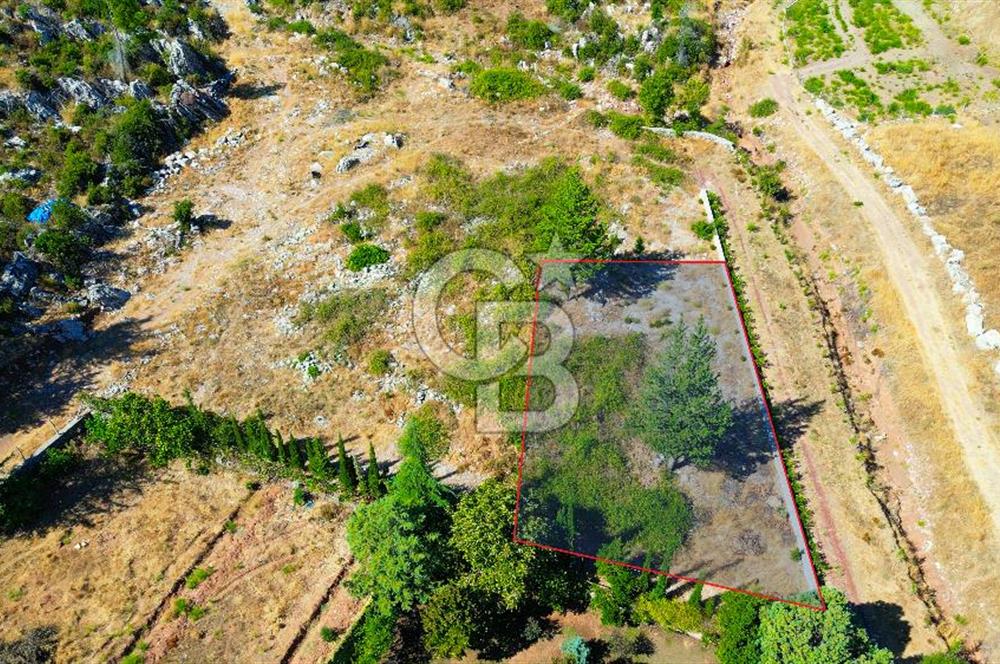 Muğla Marmaris Turunç Dereözü Mevkinde Satılık 882,53 m² Arsa