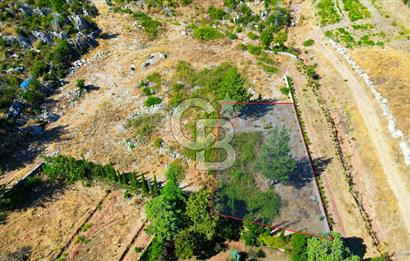 Muğla Marmaris Turunç Dereözü Mevkinde Satılık 882,53 m² Arsa