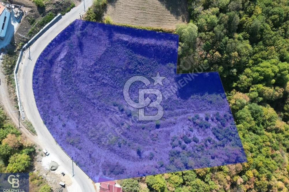 Cb ENVOY'DAN  YUVACIK SERVETIYE'de yola cephe  10.000m2 TARLA 