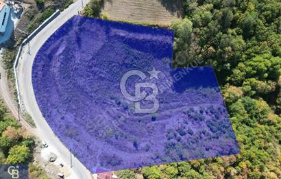 Cb ENVOY'DAN  YUVACIK SERVETIYE'de yola cephe  10.000m2 TARLA 