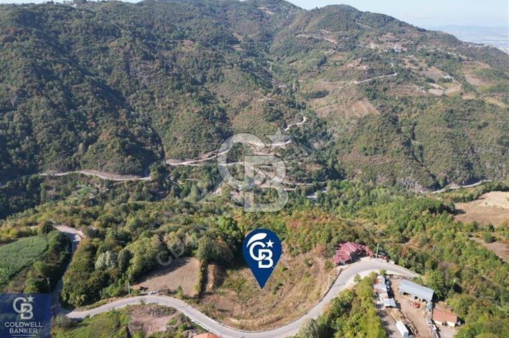 Cb ENVOY'DAN  YUVACIK SERVETIYE'de yola cephe  10.000m2 TARLA 