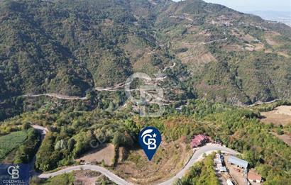 Cb ENVOY'DAN  YUVACIK SERVETIYE'de yola cephe  10.000m2 TARLA 