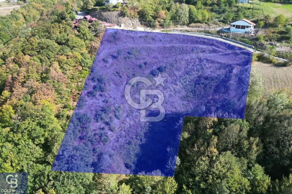 Cb ENVOY'DAN  YUVACIK SERVETIYE'de yola cephe  10.000m2 TARLA 
