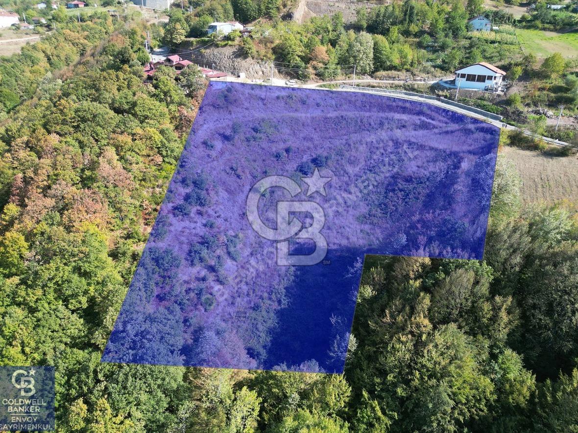 Cb ENVOY'DAN  YUVACIK SERVETIYE'de yola cephe  10.000m2 TARLA 