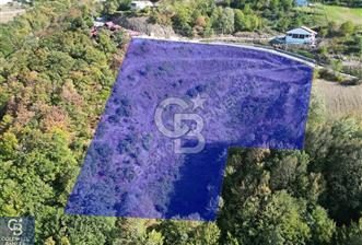 Cb ENVOY'DAN  YUVACIK SERVETIYE'de yola cephe  10.000m2 TARLA 