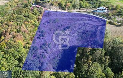 Cb ENVOY'DAN  YUVACIK SERVETIYE'de yola cephe  10.000m2 TARLA 