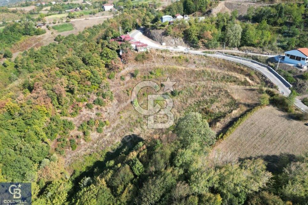 Cb ENVOY'DAN  YUVACIK SERVETIYE'de yola cephe  10.000m2 TARLA 