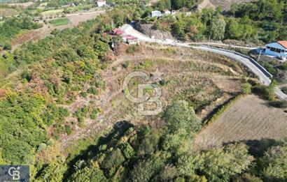 Cb ENVOY'DAN  YUVACIK SERVETIYE'de yola cephe  10.000m2 TARLA 