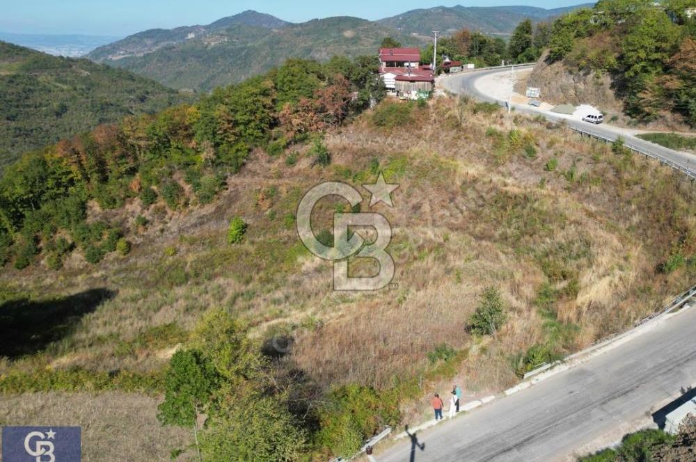 Cb ENVOY'DAN  YUVACIK SERVETIYE'de yola cephe  10.000m2 TARLA 