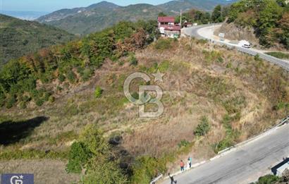 Cb ENVOY'DAN  YUVACIK SERVETIYE'de yola cephe  10.000m2 TARLA 