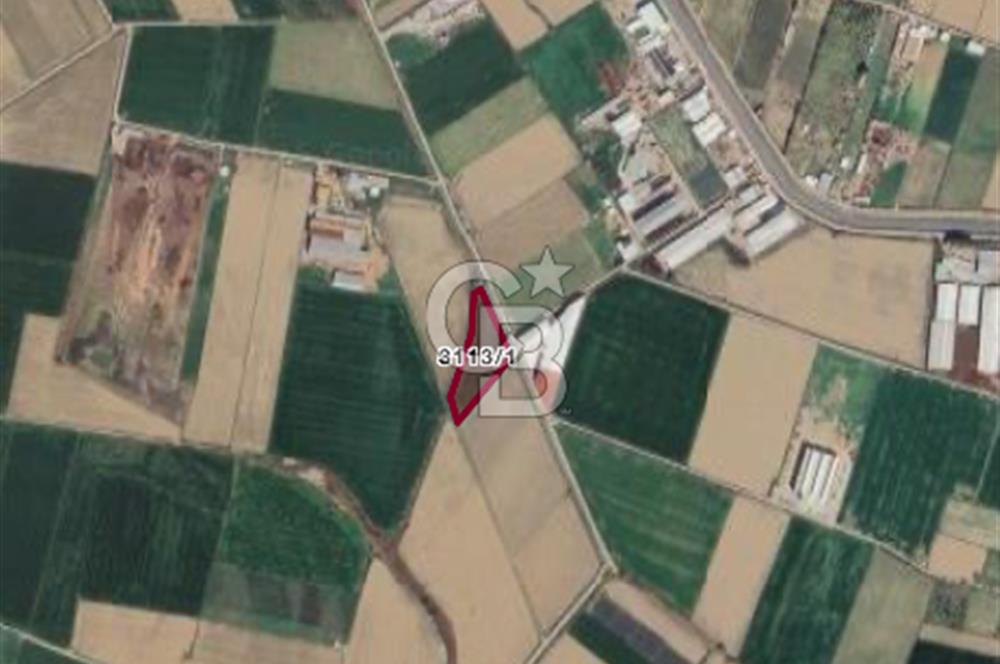 MENEMEN ULUCAK KÖYÜNDE SATILIK 8.889 M2 MÜSTAKİL TARLA