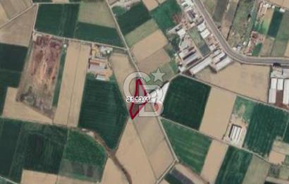 MENEMEN ULUCAK KÖYÜNDE SATILIK 8.889 M2 MÜSTAKİL TARLA