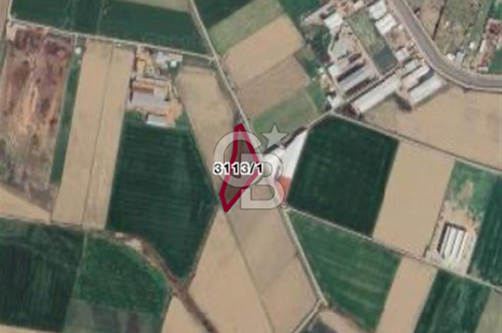 MENEMEN ULUCAK KÖYÜNDE SATILIK 8.889 M2 MÜSTAKİL TARLA