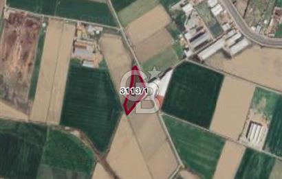 MENEMEN ULUCAK KÖYÜNDE SATILIK 8.889 M2 MÜSTAKİL TARLA