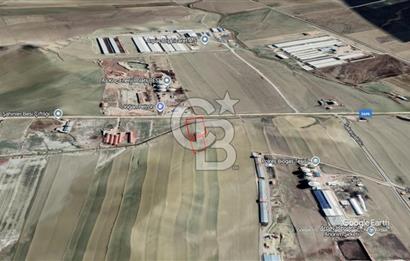 Ankara Polatlı Sakarya Bölgesinde YOL CEPHELİ SATILIK ARSA