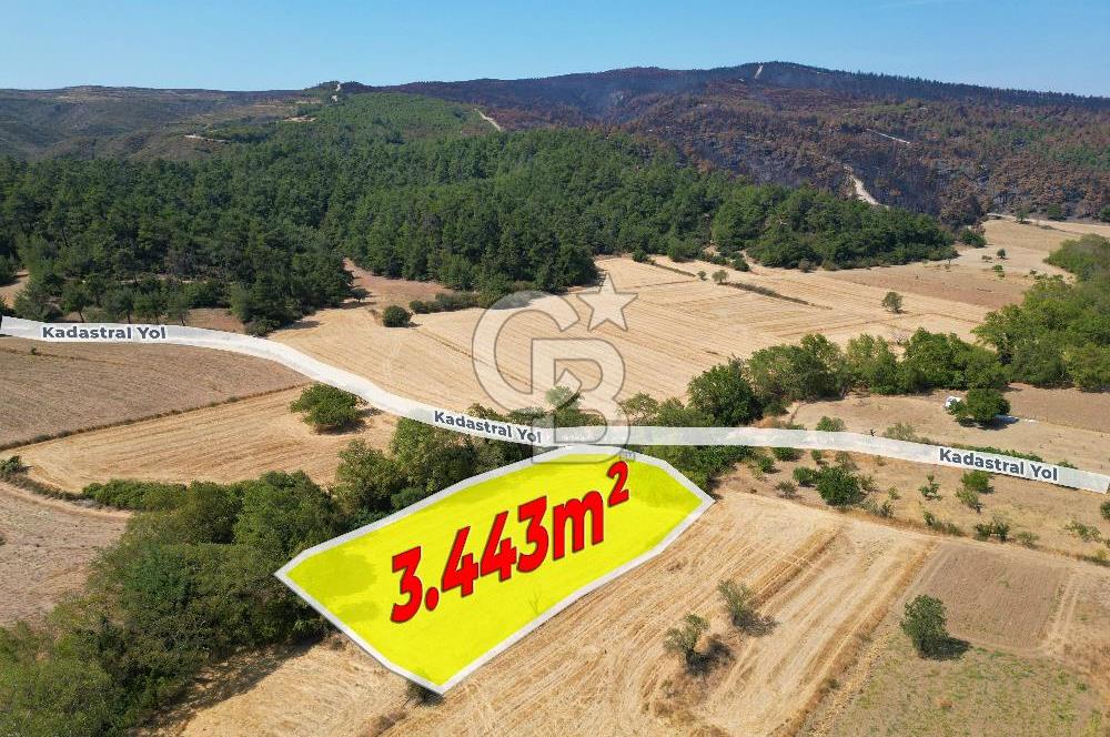 Gelibolu Ilgardere köyünde İmar Sınırında Yatırımlık Müstakil Tarla!