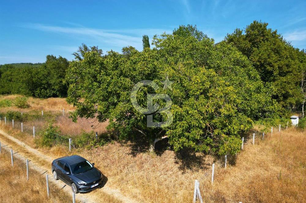 GELİBOLU ILGARDERE DE 410 M²'LİK YATIRIM FIRSATI