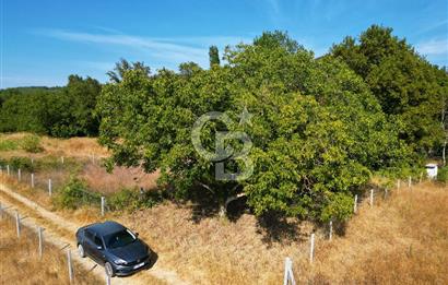 GELİBOLU ILGARDERE DE 410 M²'LİK YATIRIM FIRSATI
