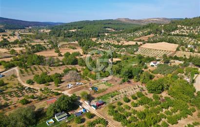 GELİBOLU ILGARDERE DE 410 M²'LİK YATIRIM FIRSATI