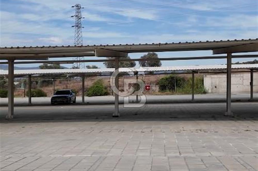 MİLAS BODRUM HAVAALANINA 2 KM . UZAKLIKTA 7.494 M2 İÇERİSİNDE KUYU BULUNAN TARLA