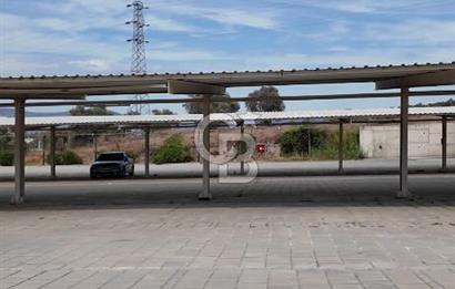 MİLAS BODRUM HAVAALANINA 2 KM . UZAKLIKTA 7.494 M2 İÇERİSİNDE KUYU BULUNAN TARLA