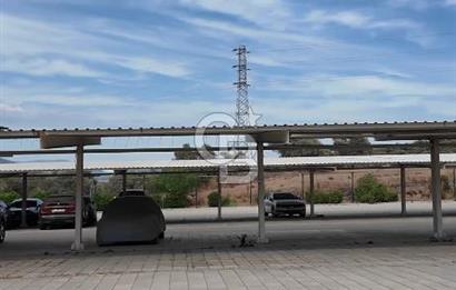 MİLAS BODRUM HAVAALANINA 2 KM . UZAKLIKTA 7.494 M2 İÇERİSİNDE KUYU BULUNAN TARLA