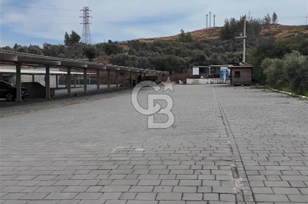 MİLAS BODRUM HAVAALANINA 2 KM . UZAKLIKTA 7.494 M2 İÇERİSİNDE KUYU BULUNAN TARLA