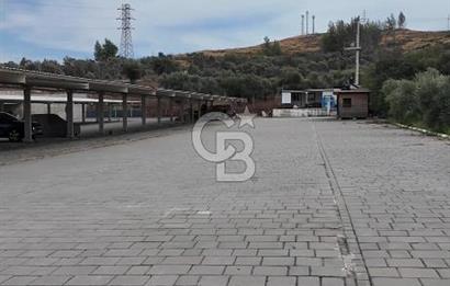 MİLAS BODRUM HAVAALANINA 2 KM . UZAKLIKTA 7.494 M2 İÇERİSİNDE KUYU BULUNAN TARLA