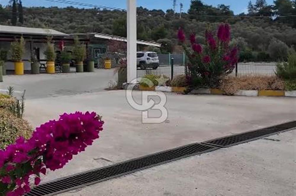 MİLAS BODRUM HAVAALANINA 2 KM . UZAKLIKTA 7.494 M2 İÇERİSİNDE KUYU BULUNAN TARLA