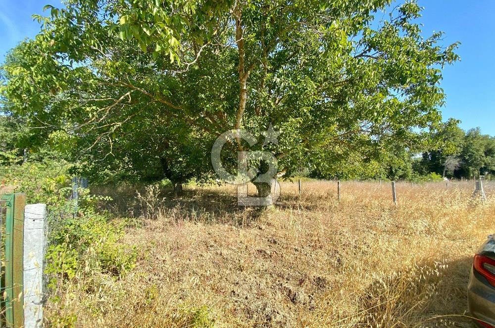 GELİBOLU ILGARDERE DE 410 M²'LİK YATIRIM FIRSATI
