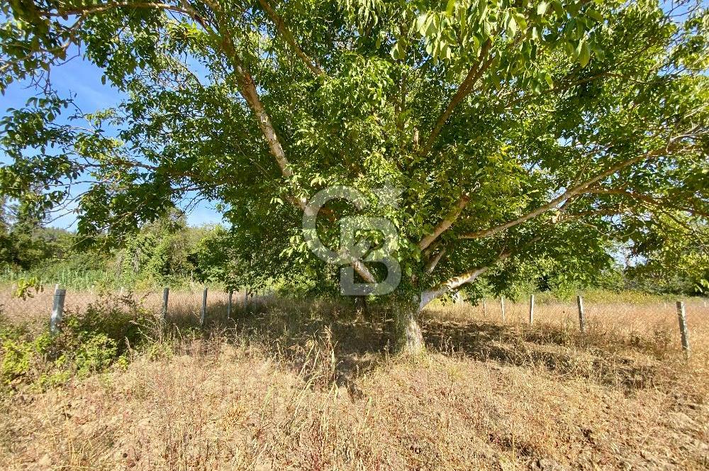 GELİBOLU ILGARDERE DE 410 M²'LİK YATIRIM FIRSATI