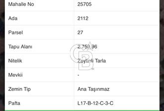 JASSE'DEN GÜZELBAHÇE YELKİ'DE SATILIK TARLA