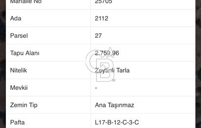JASSE'DEN GÜZELBAHÇE YELKİ'DE SATILIK TARLA