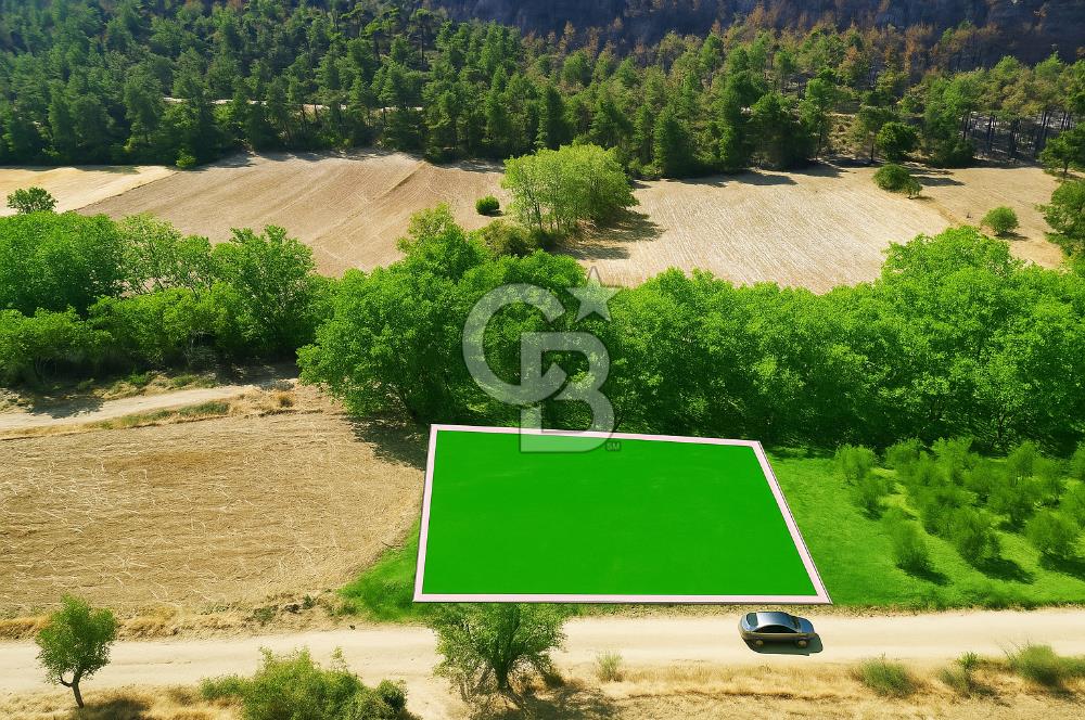 Gelibolu Ilgardere Köyünde 575 m² Müstakil Tapulu Tarla