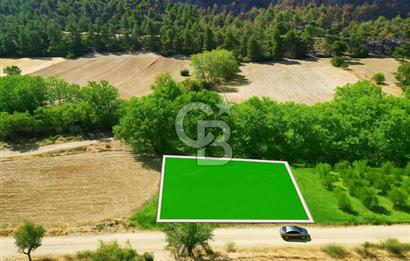 Gelibolu Ilgardere Köyünde 575 m² Müstakil Tapulu Tarla