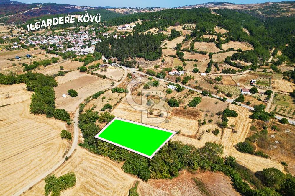 Gelibolu Ilgardere köyünde İmar Sınırında Yatırımlık Müstakil Tarla!